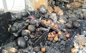 火災(zāi)現(xiàn)場被燒焦的水果